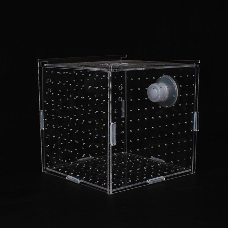 FishTank Hatchery Incubator Aquarium Small Breeding Box Clear Breeder Isolation Hatching Box