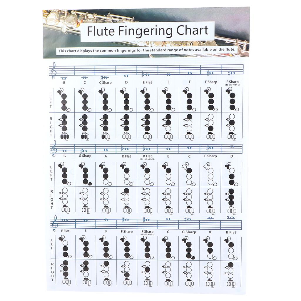 Flute Fingering Chord Chart Beginner Student Practice Teaching Aids Instrument