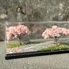 1:64 Cherry Blossom Scene Acrylic Display Box Home Decor Stand Mini Ornament Shooting Scene Boys Collection Gift