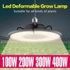 Plant Lamp LED Full Spectrum Grow Light White E27 100W 200W 300W 400W LED Growing Box Light E26 Hydroponic LED Bulb Phyto Lamp