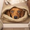 Cute Dachshund Dog Door Mat Anti Slip Sausage Dog Welcome Doormat Floor Rug Kitchen Carpet Living Room Entrance Porch Mats
