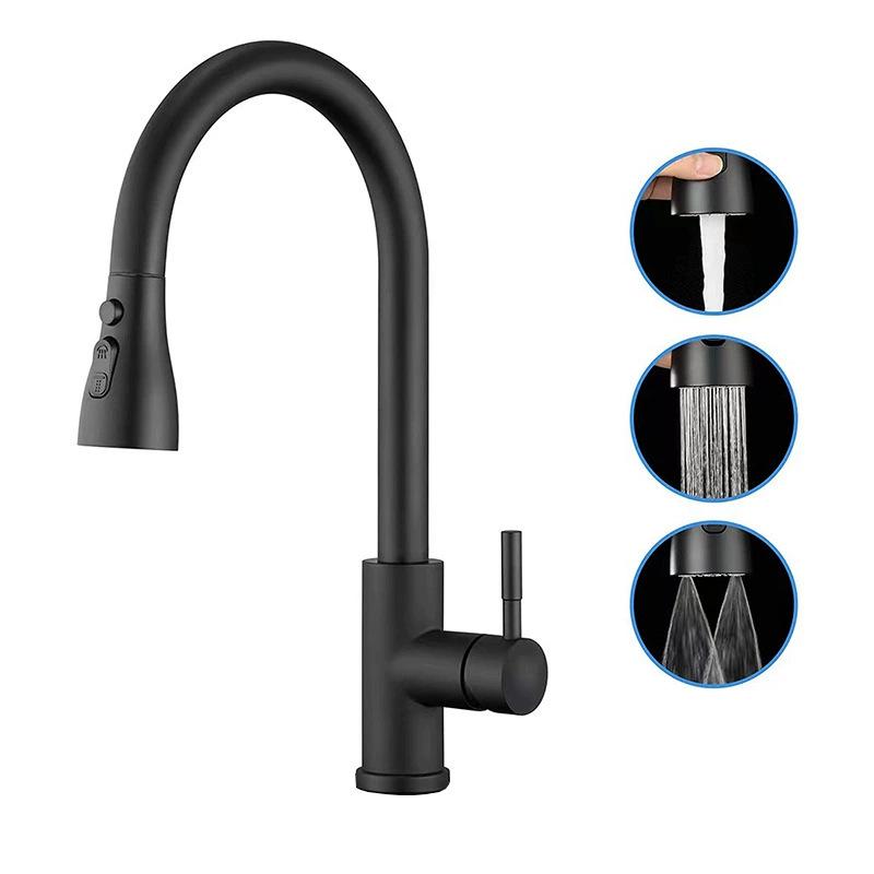 Rotatable Kitchen Faucet: Hot/Cold, 304 Stainless Steel, Pull-Out Retractable