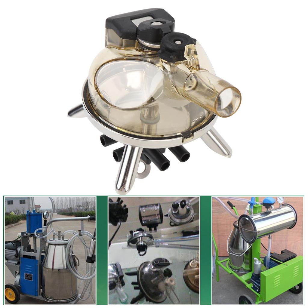 Cow Milk Collector Tool Milk Claw Cluster Cow Milk Collector 300ml Stainless Base Transparent Cover Cow Milking Cluster for Farm