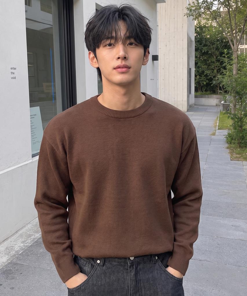 HERVINO Daily Crewneck Knit Sweater [Brown]