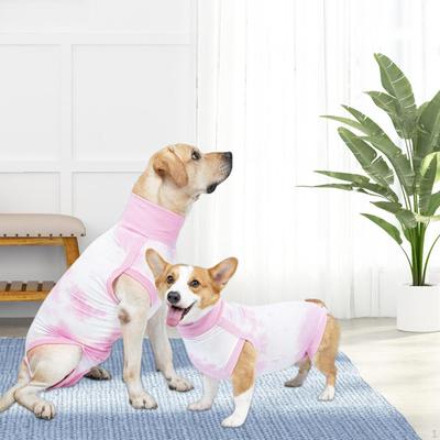 Köpek – Köpek bakım ürünleri