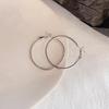Exaggerated Hoop Earrings - European & American Cold Style, 925 Silver Needle, All-Match Metal Ear Jewelry for Women