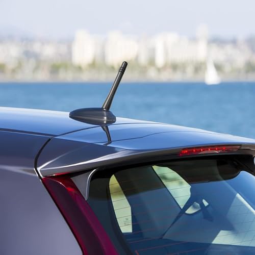 REYLNXR Kurze Antenne Autoantenne Radioantenne Signalverstärkung Automobilantenne Universell (Design C)