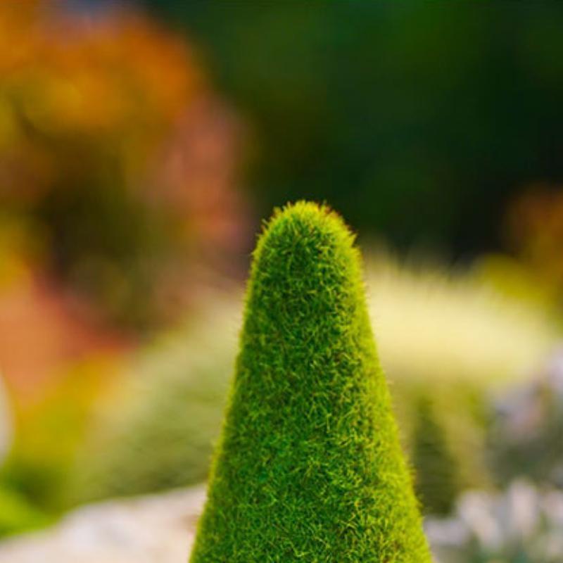 Desene animat Elf de grădină Ornamente din rășină Pălărie verde, flori, pasăre, bătrân, fără chip, drăguț, pitic, statuie, grădină, curte, elf, sculptură, nou