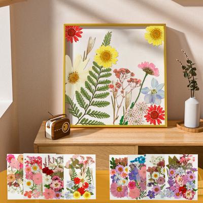 90Pcs Dried Pressed Flowers for Resin Molds Colorful Real Pressed Flowers Natural Dry Pressed Flowers Beautiful Dried Flower DIY