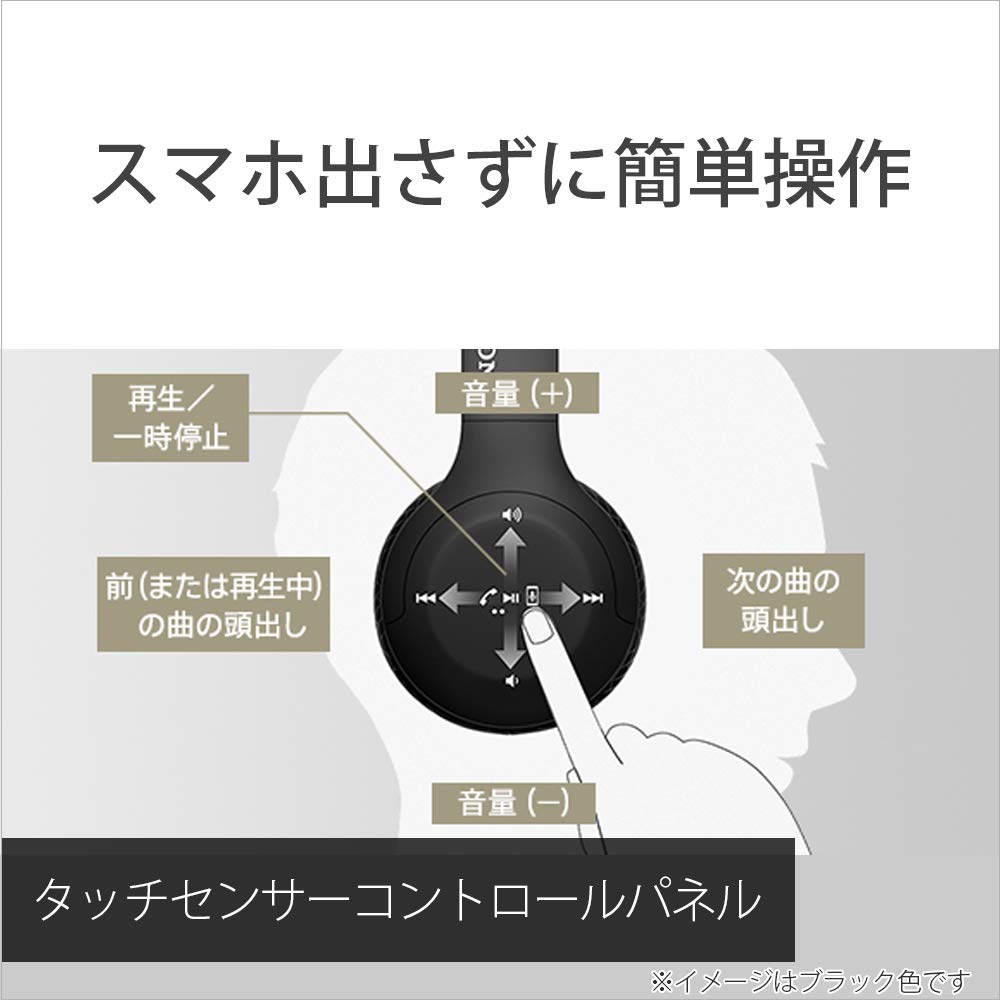 Sony WH-H810 Wireless Headphones Hi-Res Compatible Alexa Built-in Bluetooth 30H Playback Touch Sensor Compact Black WH-H810 BM