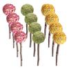 12 Pcs Lollipop Pet Rabbit Snacks Guinea Pig Toys Hamster Chewing Sticks Plant Bunny Molar Animals Biting Playthings