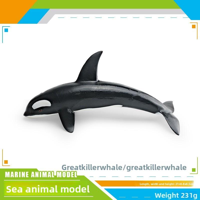 Ensemble de modèles en PVC d'animaux marins pour enfants avec des figures de cétacés réalistes pour le jeu éducatif