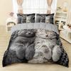 Cute Cat Print Duvet Cover Set - Soft Breathable Polyester Bedding For All Seasons Includes 1 Duvet Cover 2 Pillowcases