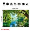 2D Sunray Jungle Scenery Portrait Photo Backdrop