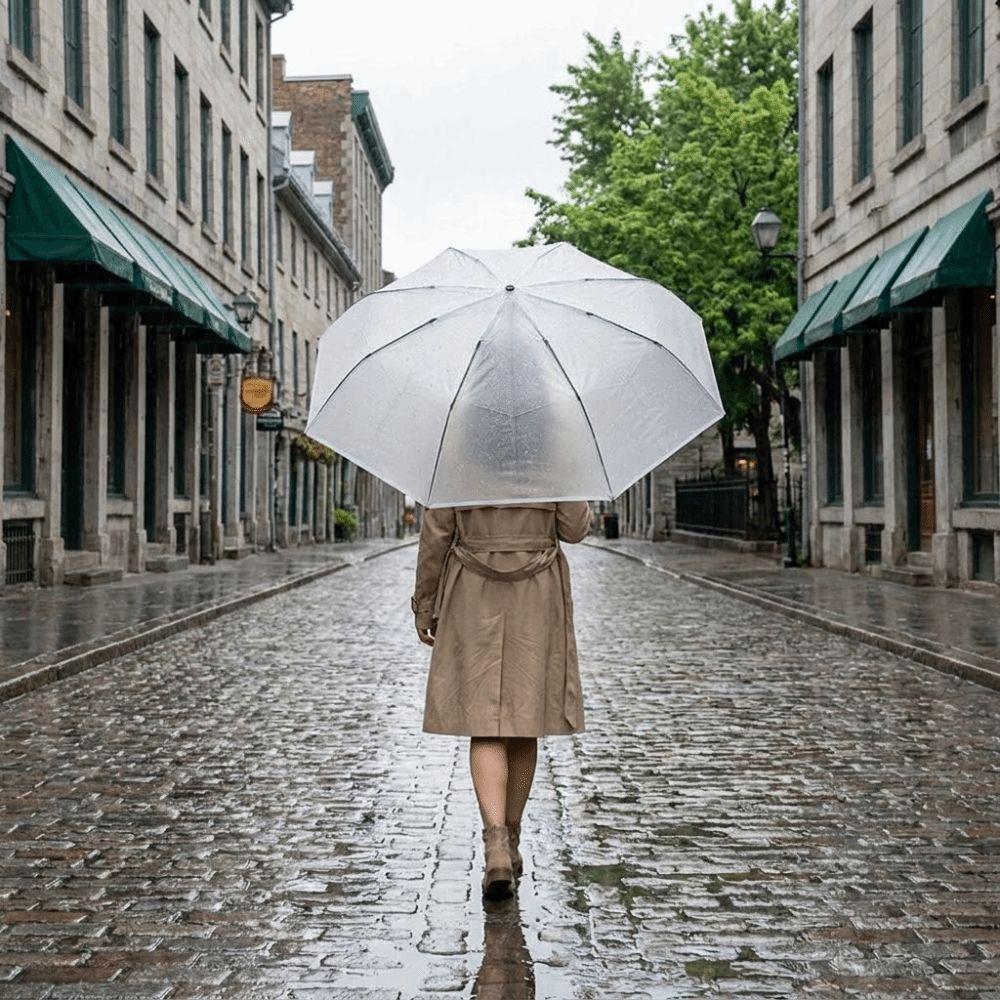 Matte Folding Umbrella Eco-friendly Automatic Umbrella Frosted Transparent Umbrella Daily Commute