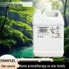 Aroma Essential Oil Diffuser: Commercial Fragrance Machine with 5L Refill for Hotels and Clubs