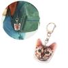 Creative Cat Shape Keychain Mini Animal Toy Keyrings Acrylic Animals Key Chain Pendant DIY Keychains Crafts Decorations