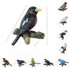 Bird Wall Hook Entryway Decor With Durable Resin Design Great For Organizing
