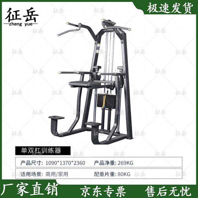 Zhengyue Incline Chest Press & Parallel Bars Trainer