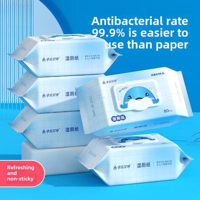 10/40/80pcs/pack Wet Toilet Wipes Flushing Toilet Not Blocked Eco-Friendly Degradable Cleaning Soft Skin-friendly Household Daily Use Toilet Wipes