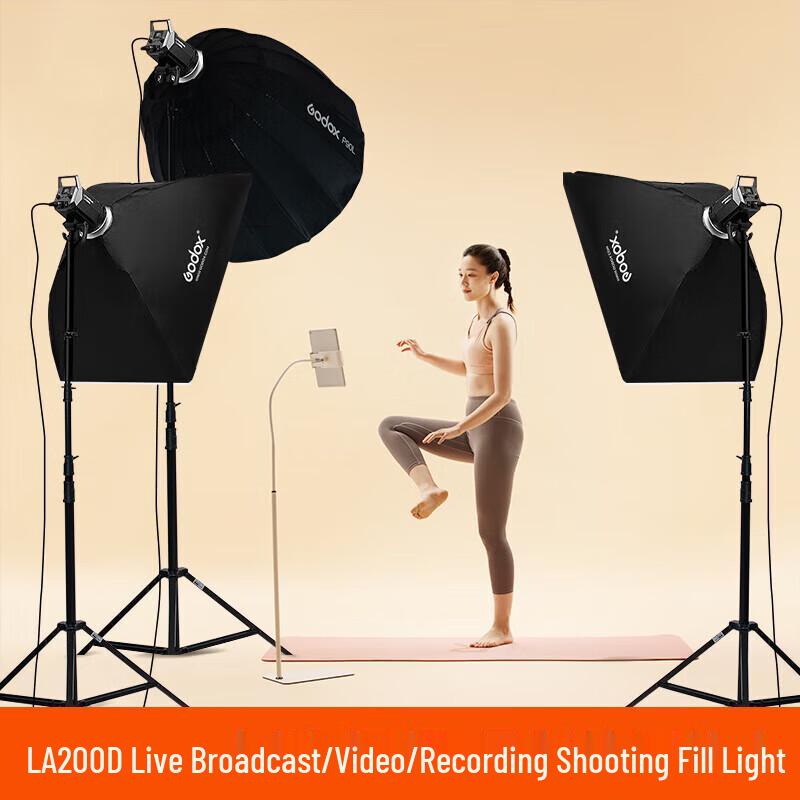 Godox LA200D LED Studio Video Light Kit