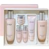 [QNS8024X_56] Skin Basic Cosmetics 6-piece Set (36454347)