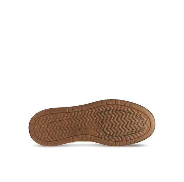 Geox U Sedral Court Sneakers