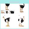 Childrens Wildlife Animal Toy African Ostrich Plastic Model For Educational Play