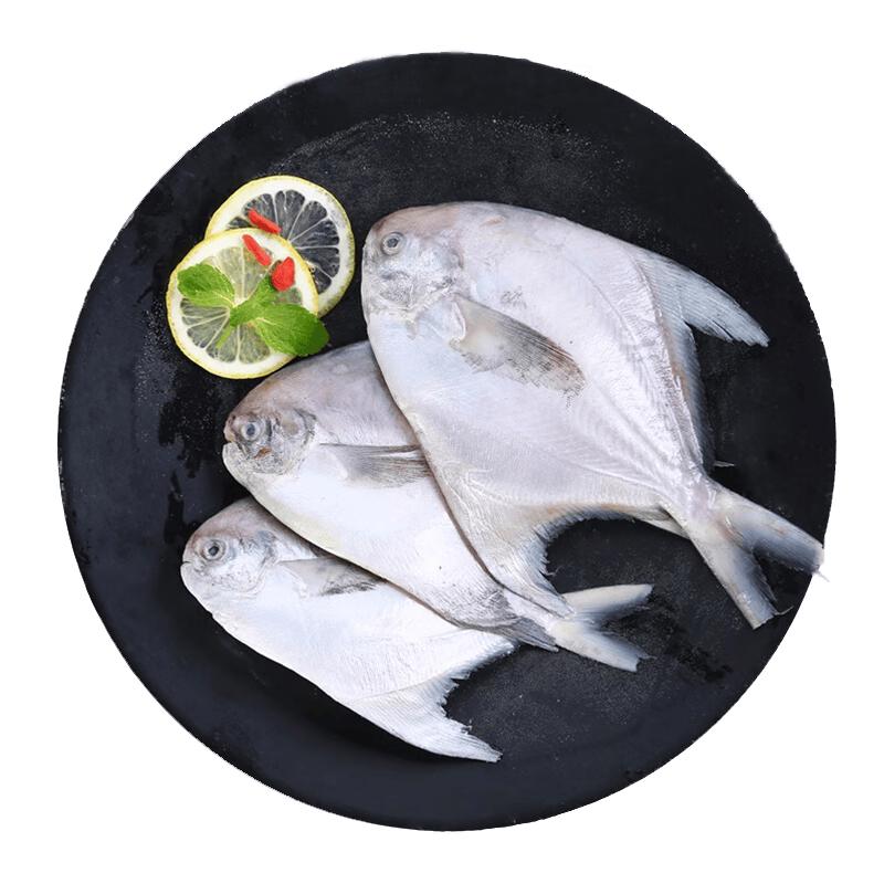 Sandugang Eastern Sea Pomfret Fish