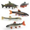 Realistic Plastic Fish Model Set Featuring Colorful Red Spot Salmon Piranha And Yarrow Fish