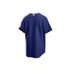 Nike T Shirts Men's Blue V neck Moderate Straight Fit T770LDCCLD-KMG
