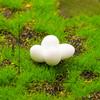 Micro-landscape Decorative Items, Such As Simulated Ducks, Are Small Resin Craft Decorative Items for Garden Landscaping