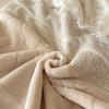 Contemporary Minimalist Carved Milk Velvet Warm Lace Bedding Set