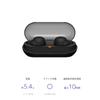 Sony (SONY) Completely Wireless Earphones WF-C500: Lightweight and Small 5.4gHigh Precision Call qualityEasy pairingIPX4 Drip-proof performanceBlack W