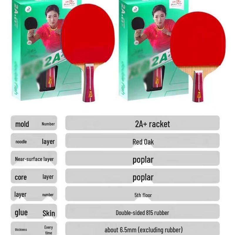 Bolli Table Tennis Racket Pair