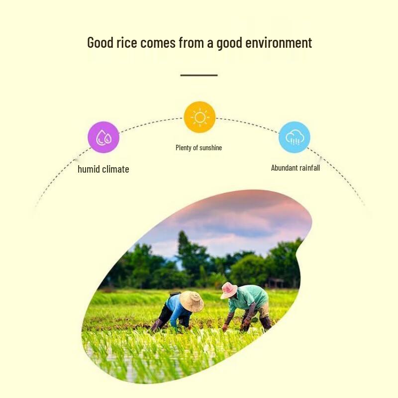 Crest Toothbrush & Arowana Rice Bundle