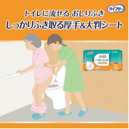 Lifree Adult Wet Wipes, Flushable, 72 Wipes, 4 Packets, Total 288 Wipes