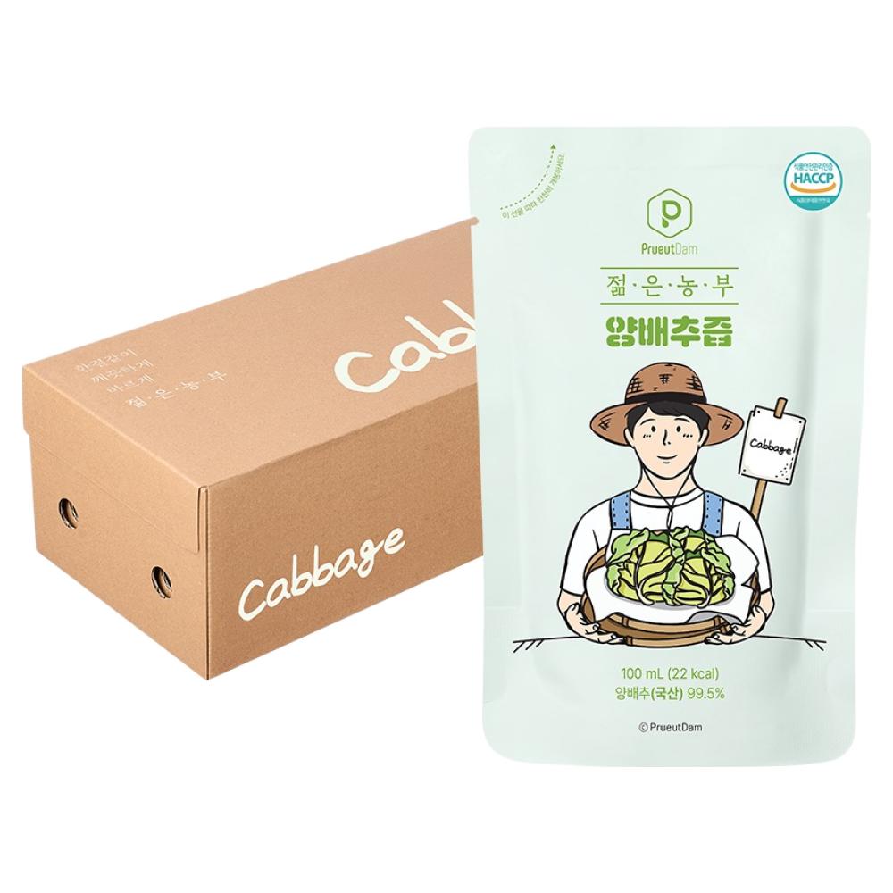 Purutdam Young Farmer Cabbage Juice 3L 1 pcs