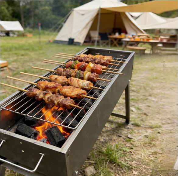 

Portable Outdoor Charcoal Barbecue Grill with Free Shipping 50cm Small Grill