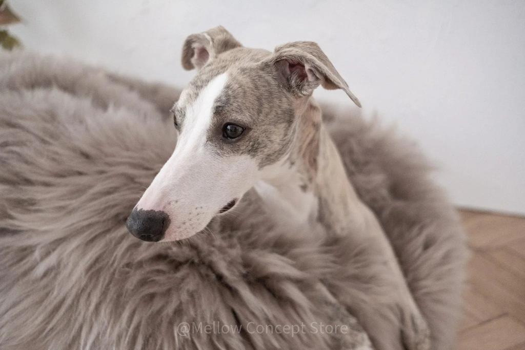 Oval Natural Sheepskin Pet Bed - Greige 120 Cm