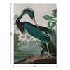Louisiana Heron Birds of America Audubon Illustration Bird Lovers Gift Throw Blanket for sofa Cute Kid'S Blankets