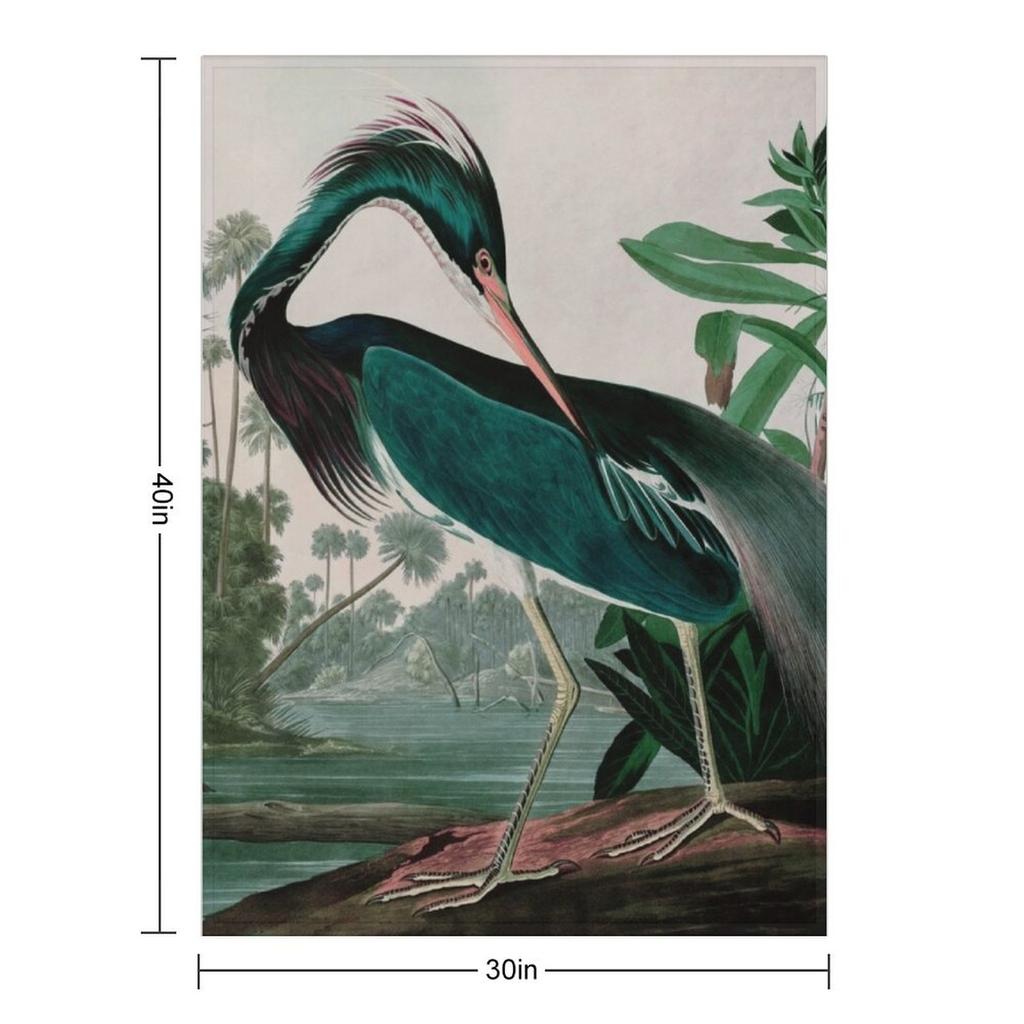 Louisiana Heron Birds of America Audubon Illustration Bird Lovers Gift Throw Blanket for sofa Cute Kid'S Blankets