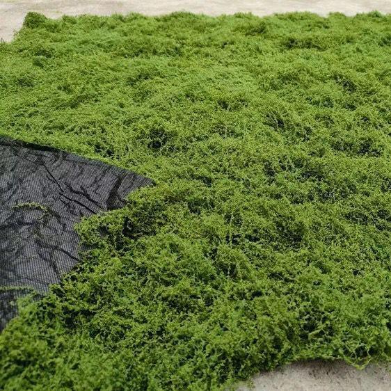 Non-Fading Moss Wool for Water Tanks, Plant Walls, and Garden Rockery Landscaping
