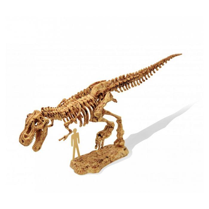 Jeu Scientifique - BUKI FRANCE - 439TYR - Dino Kit - Tyrannosaure - Bloc À Creuser Et Squelette À Assembler