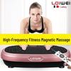 LDIWEI R103 Home Whole-Body Vibration Plate CN plug (adapter included)