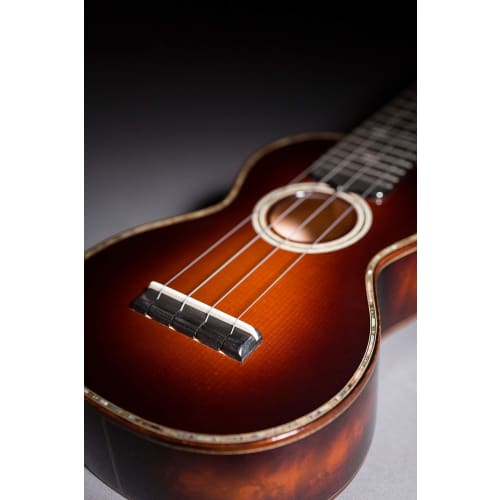Martin M610 Ukulele Premium Polygut Concert Strings