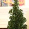 New Year Gift Home Decor Christmas Decor Artificial Plants Mini Xmas Tree Table Ornament