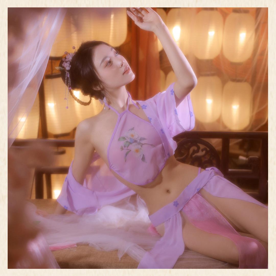 Антикварный комплект с карманом на животе Camellia напечатанный Hanfu бесплатное сексуальное нижнее белье Фиолетовый элегантный антикварный женский одежда average size