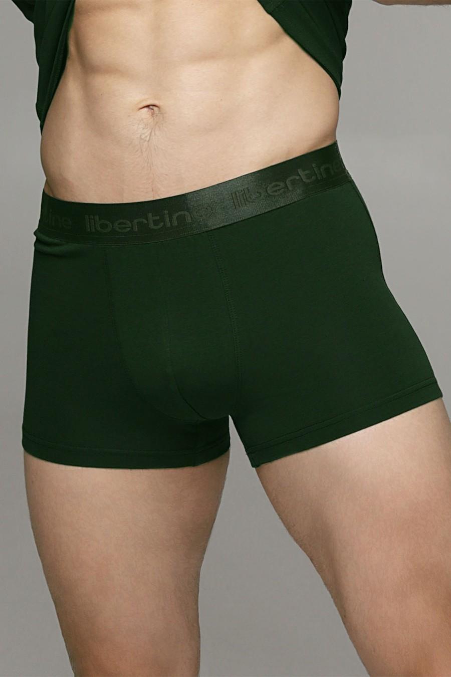 

Труси боксери Libertine (97225) 56(3XL) зелений