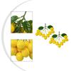 Artificial Lemon Branches Simulation Ornaments For Kitchen, Store Event Display Photography Prop Decorative Fruit & Vegetables